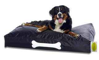 HOW TO CHOOSE THE RIGHT BED FOR YOUR PET - relaxsit,.official