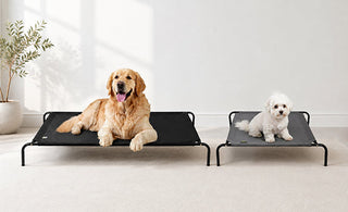 pet-bed