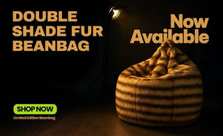 Double Shade Fur Bean Bag