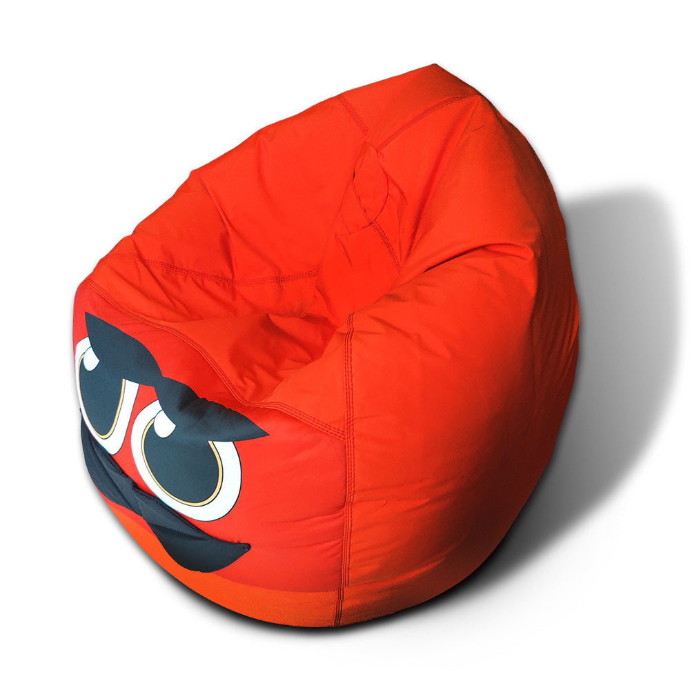 Relaxsit Monster Bean Bag – Medium-Sized Bean Bag Sofa – A Perfect Seating Solution for Youngsters -  - Relaxsit