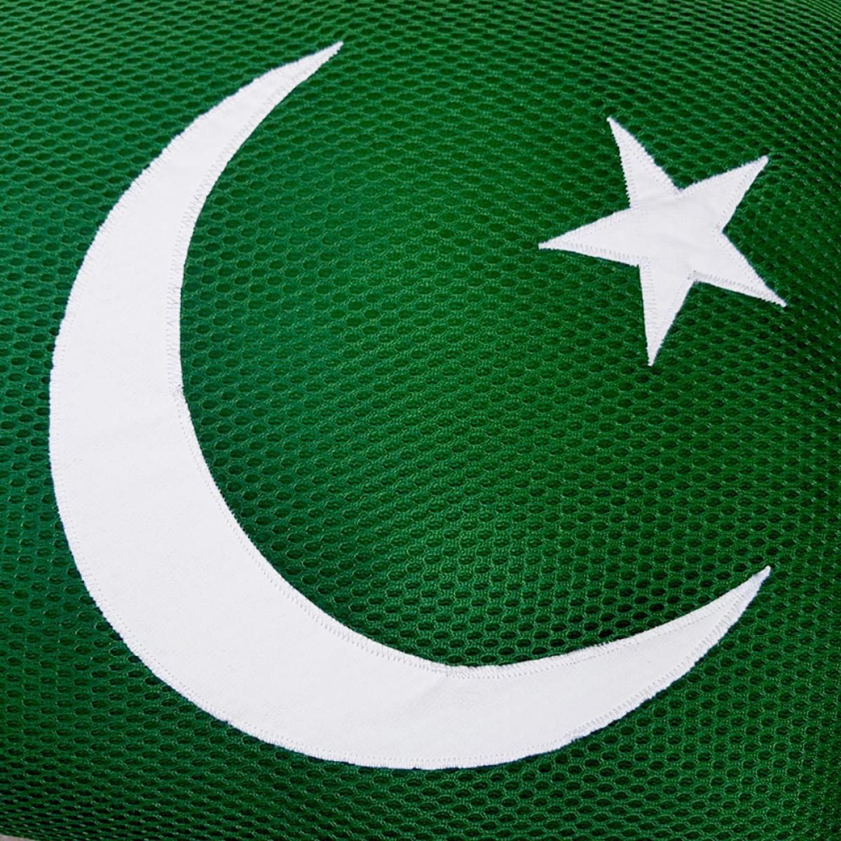Pakistan Flag Cushion Relaxsit