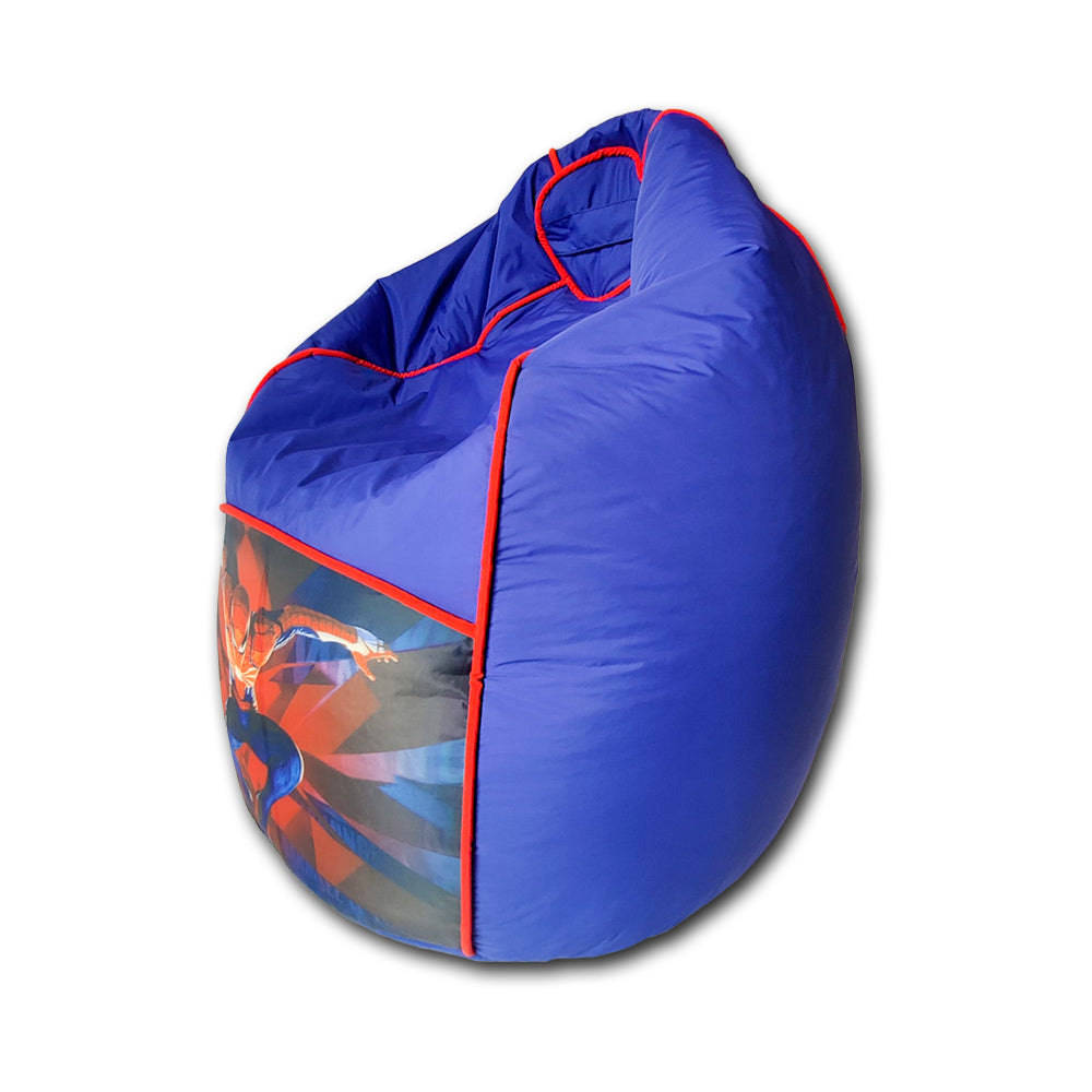Toodler Cartoon Printed Bean Bag Sofa